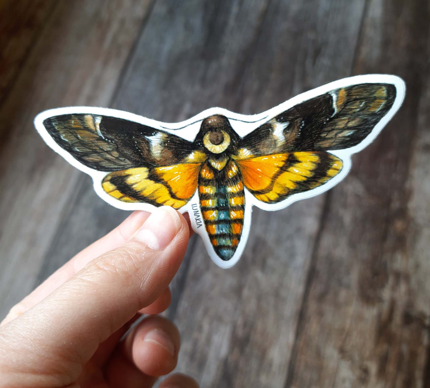 Sticker "Moon Hawk Moth"